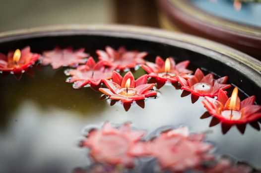 water basin style and flower candle, religion buddhism culture.