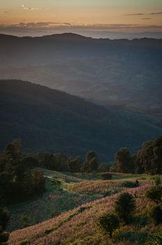 Sunlight and Mountain view landscape.