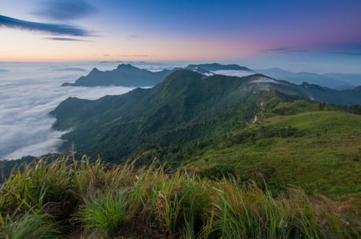 Foggy and mountain of Phu Chi Fa landscape, Thailand