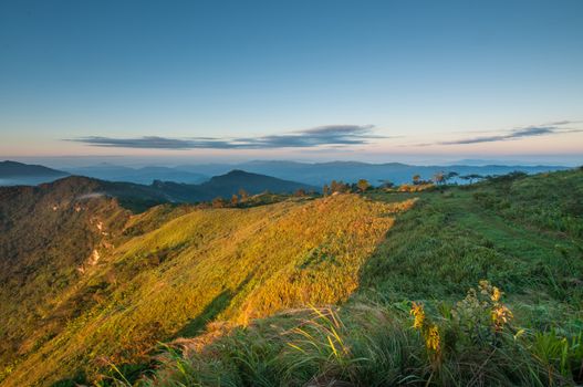 Phu Chi Fa mountain landscape with sunrise, Thailand