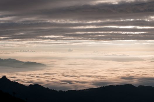 Foggy and mountain of Phu Chi Fa landscape, Thailand