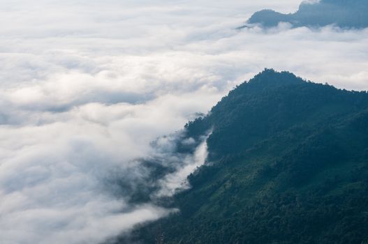 Foggy and mountain of Phu Chi Fa landscape, Thailand