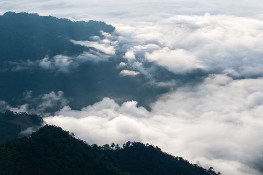Foggy and mountain of Phu Chi Fa landscape, Thailand