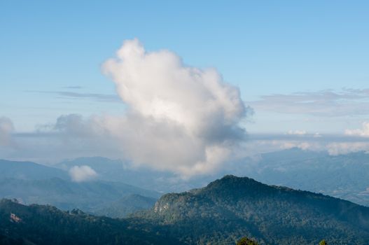 Foggy and mountain of Phu Chi Fa landscape, Thailand