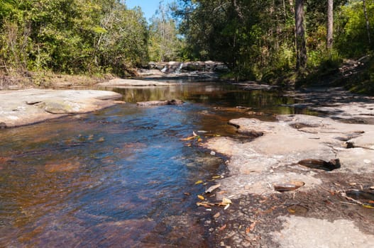 Pond of waterfall in Phu Kradueng National Park