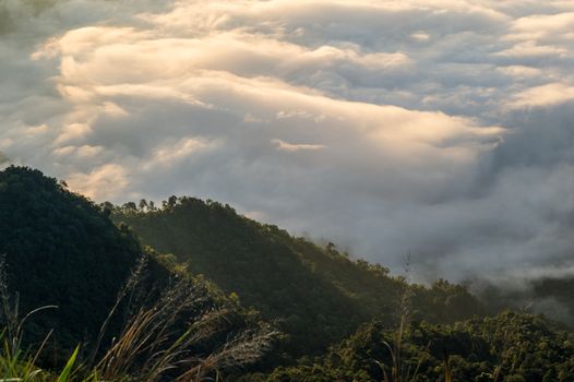 Phu Chi Fa mountain landscape with sunrise, Thailand