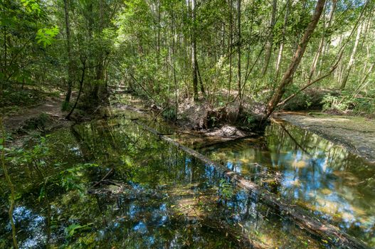 Pond of waterfall in Phu Kradueng National Park