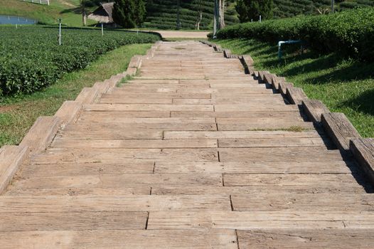 stair design in tea garden