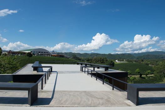 Style of roof design with tea field landscape