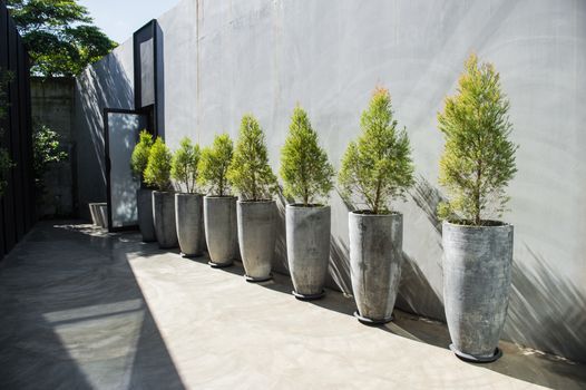 Tree pot design for exterior decoration