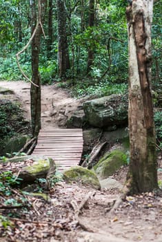 Wooden bridge path in forest closeup