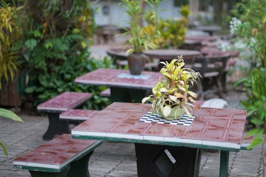 Closeup of plant pot on table in garden