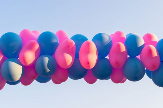 row of pink and blue balloon background