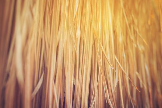 Pattern background of dry thatched grass