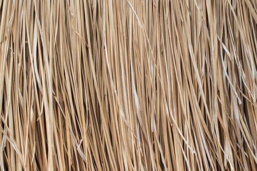 Pattern background of dry thatched grass