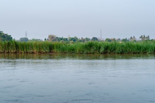 Morning time with river and grass landscape