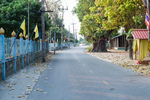 Road of countryside landscape