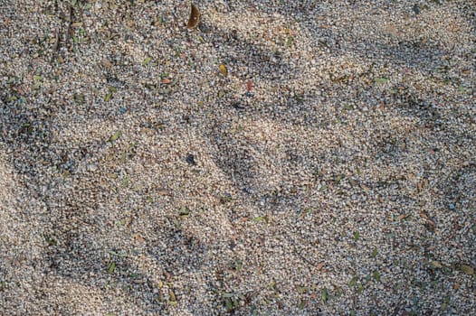 Texture background of sand