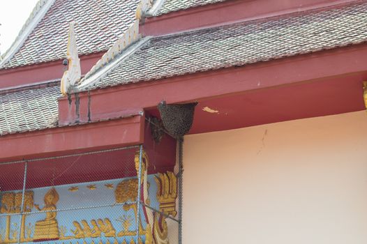 Closeup of beehive or honeycomb on temple eaves