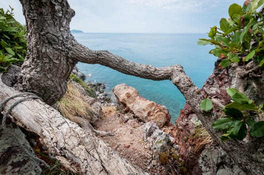 Tree branch and ocean landscape of Laem Sing hill scenic point