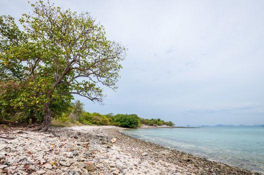 Landscape of sea beach with clouds sky