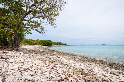 Landscape of sea beach with clouds sky