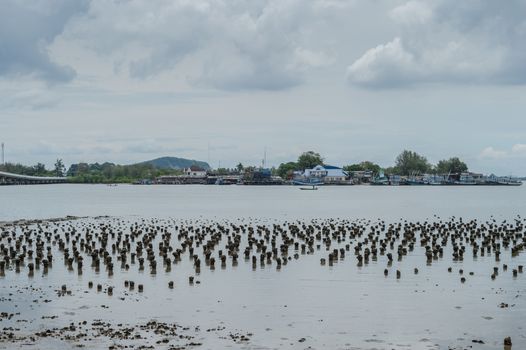 Grunge of beach with fishing harbor landscape