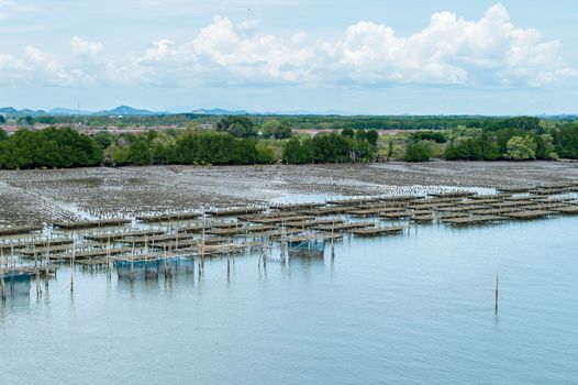 Fisherman's farm on the sea landscape