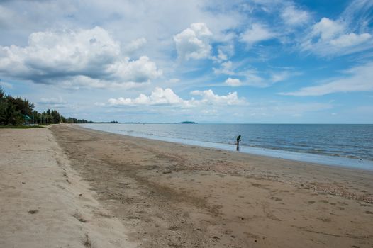 Landscape of beach or seashore