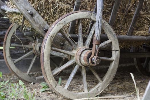 Old Wood Carriage Wheels