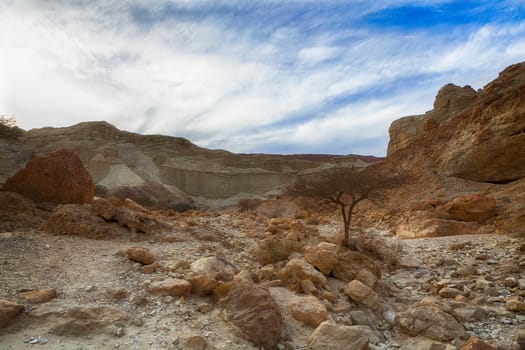 Rock and Stone Desert near the Dead Sea in Israel