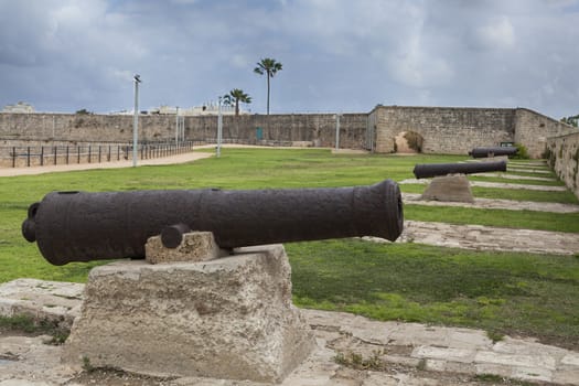 Middle East Canons With Green Grass and Defence Walls