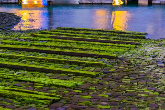 peaceful nature background of wooden planks covered in moss, water landscape scenery