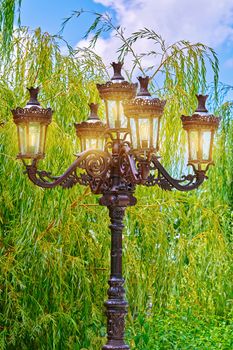 Old Street Lamp on the Background of Willow