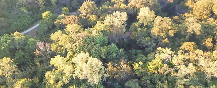 Panorama aerial drone view Kessler Park located just south of downtown Dallas, Texas, USA. Flyover nature area with mature trees and rolling hill terrain