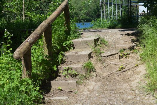 Stairs in the forest towards the sunset