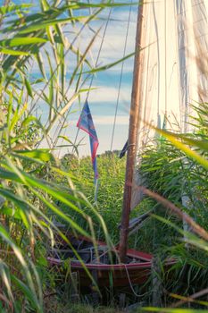 Wooden boat on the shore of a lake in the reeds              