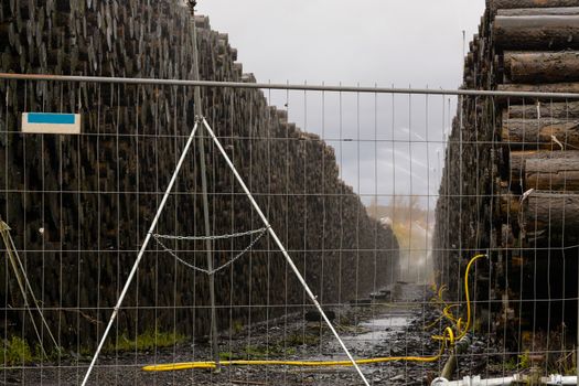 Wood yard business. Wood stacked outdoors. Concept forest industry environment.
Felled tree trunks are sprayed with water to protect them against wood pests