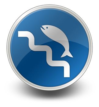 Icon, Button, Pictogram with Fish Ladder symbol