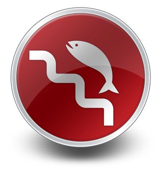 Icon, Button, Pictogram with Fish Ladder symbol