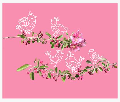 Doodle style cute birds on blossom peach tree branch on pink background. Template for card spring time concept. 