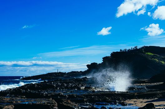 Rocky shores are very common in Hawaii, since the archipielago is a volcanic formation