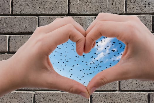 Flock of birds are seen behind a heart shaped hand