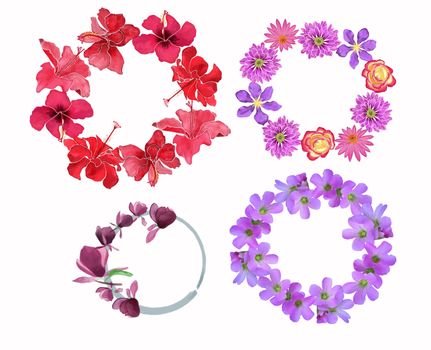 beautiful wreath with flowers blossom in white background. 