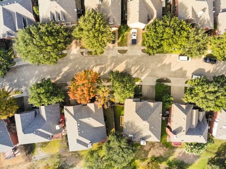 Straight down aerial view residential neighborhood in fall season with colorful leaves near Dallas, Texas