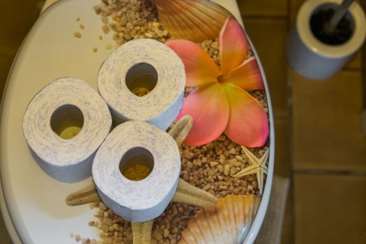 rolls of toilet paper on the water closet seat, bathroom interior, sanitary background