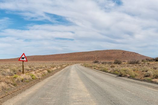 Road landscape in the Tankwa Karoo in the Northern Cape Province. A warning sign is visible