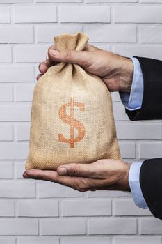 Hands holding a sack of money and white brick background