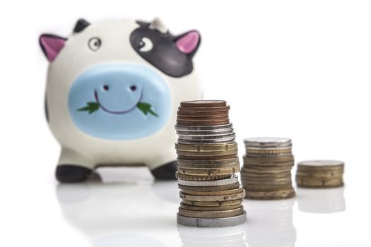 Piggy bank isolated on white background with reflection