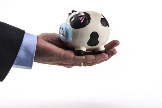 Piggy bank in hand isolated on white background